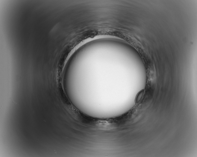 X0000094930519200711291003