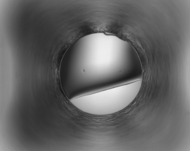 X0000094930521200711291003