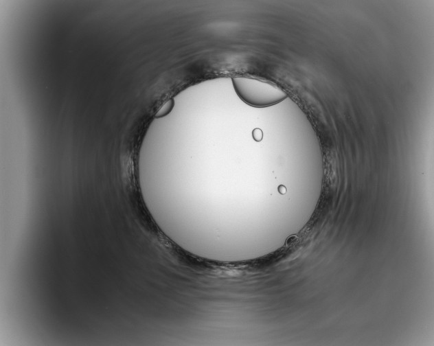 X0000094930523200711291003