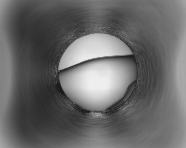 X0000094930528200711291003