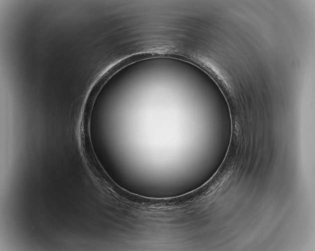 X0000094930532200711291003