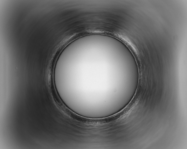 X0000094930533200711291003