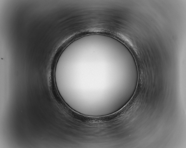 X0000094930535200711291003