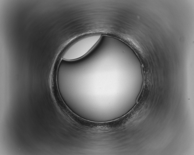 X0000094930536200711291003