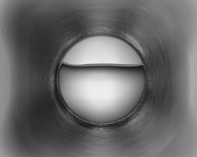 X0000094930538200711291003