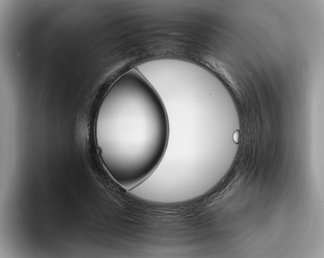 X0000094930539200711291003