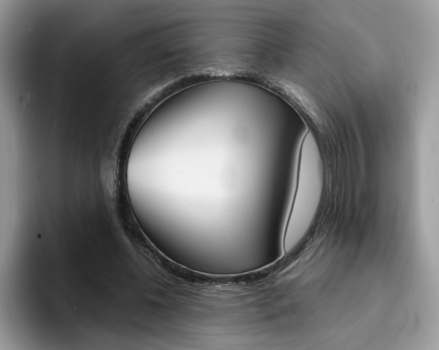 X0000094930540200711291003