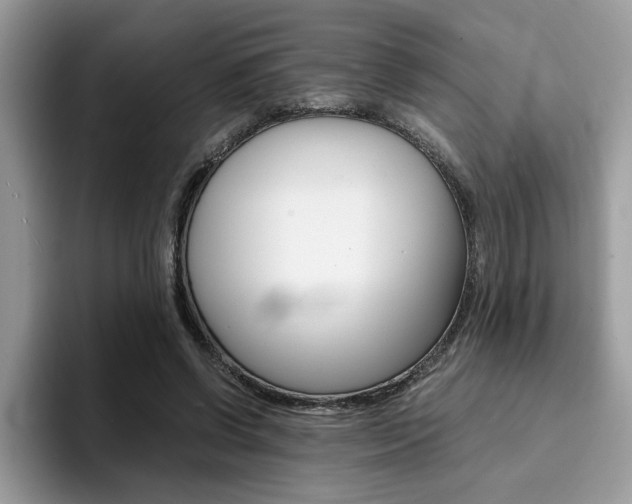 X0000094930542200711291003