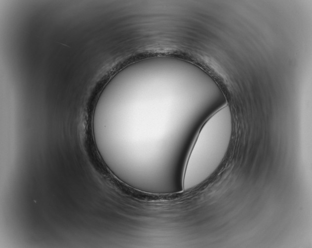 X0000094930544200711291003