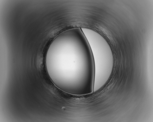 X0000094930548200711291003