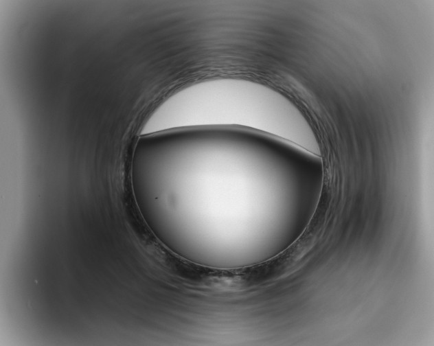 X0000094930552200711291003