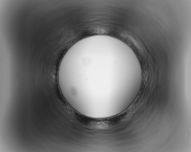 X0000094930553200711291003