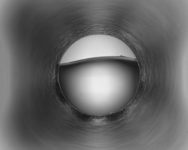 X0000094930560200711291003
