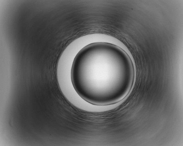 X0000094930563200711291003