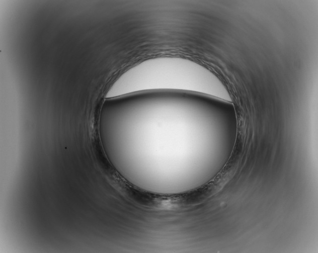 X0000094930564200711291003