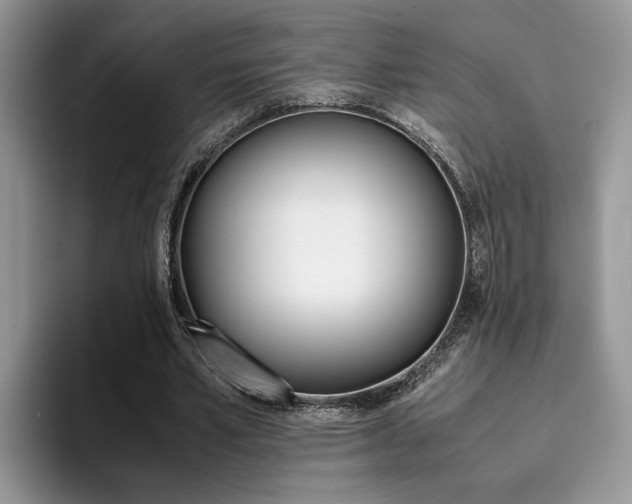 X0000094930581200711291003