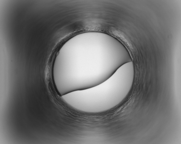 X0000094930583200711291003