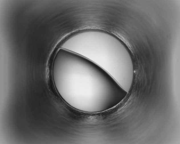X0000094930584200711291003