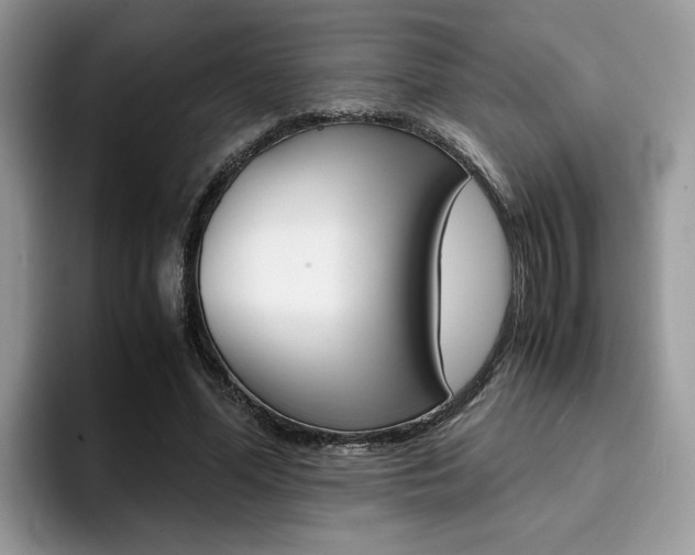 X0000094930588200711291003