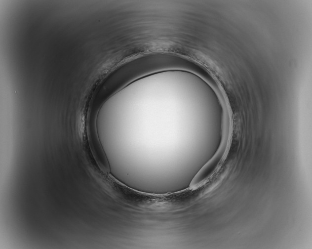 X0000094930589200711291003