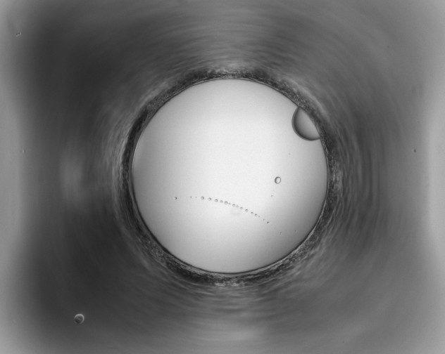 X0000094930591200711291003