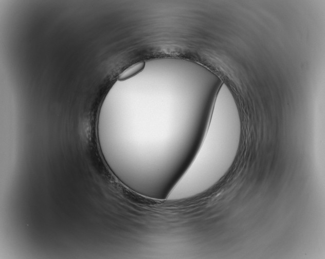 X0000094930595200711291002