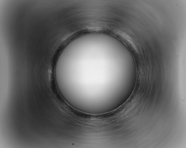 X0000094930596200711291002