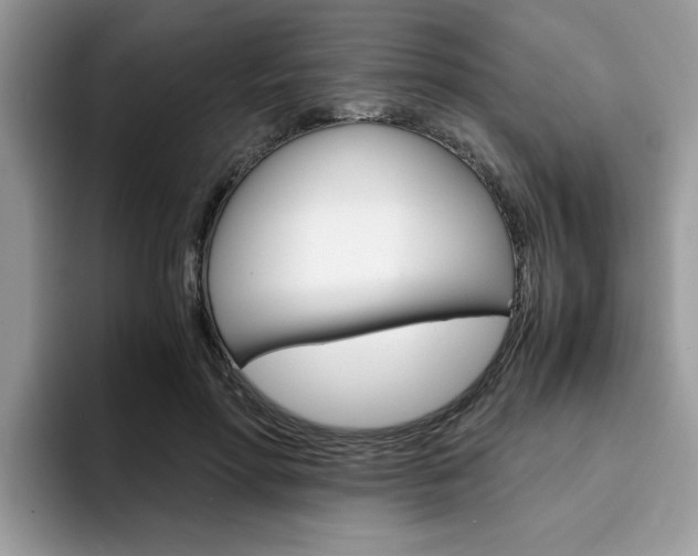 X0000094930598200711291002