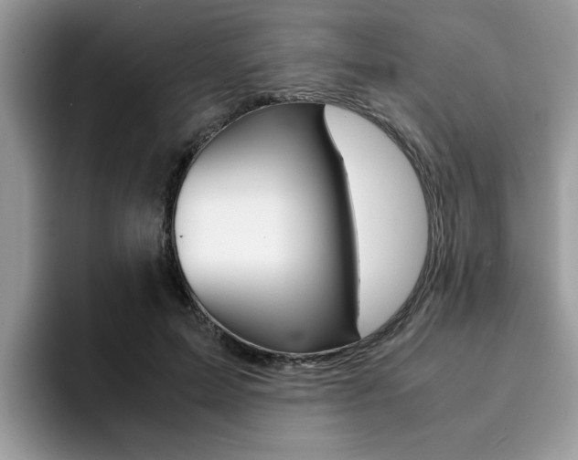 X0000094930599200711291002
