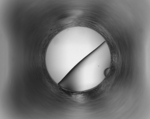 X0000094930602200711291002