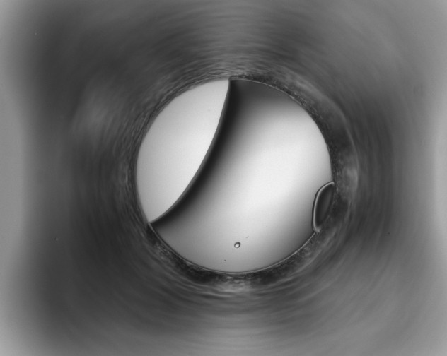X0000094930604200711291002