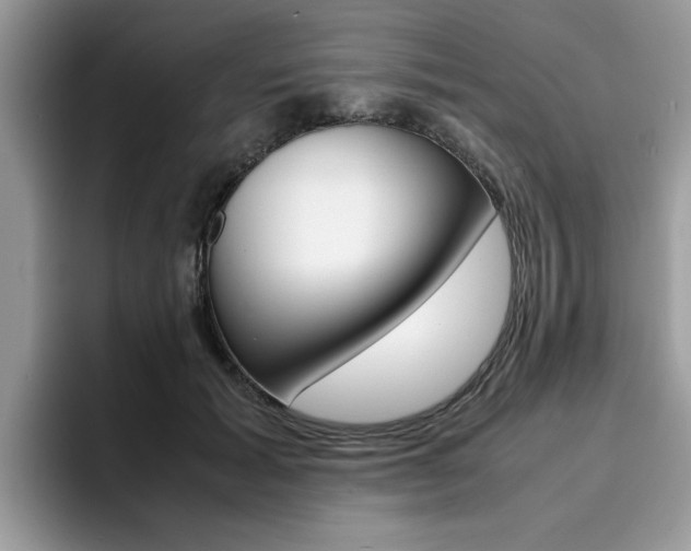 X0000094930605200711291002