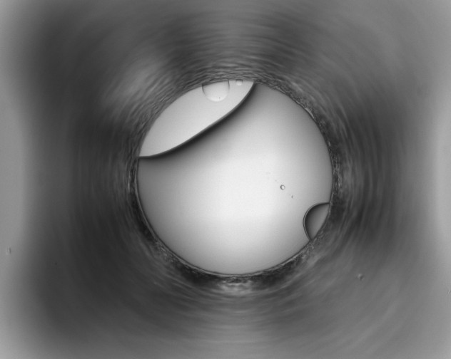 X0000094930606200711291002