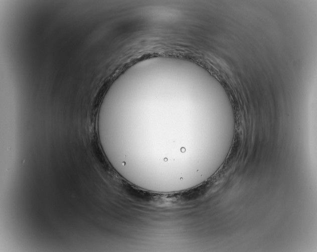 X0000094930607200711291002
