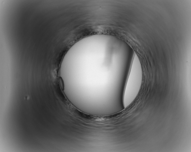 X0000094930611200711291002