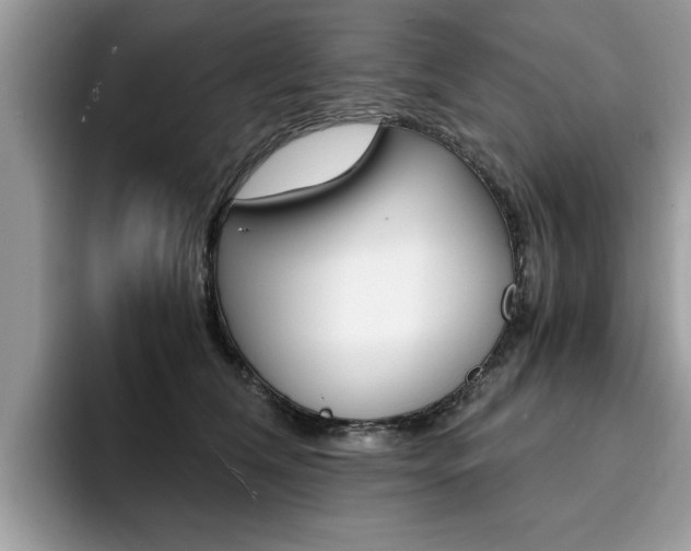 X0000094930612200711291002