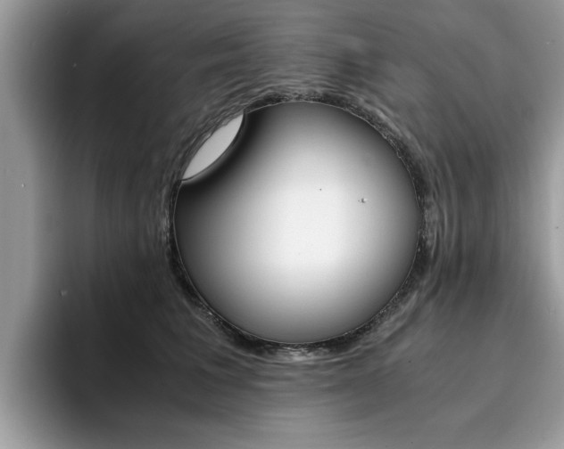 X0000094930613200711291002