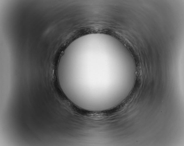 X0000094930615200711291002