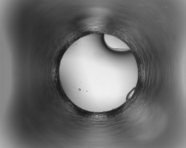 X0000094930619200711291002