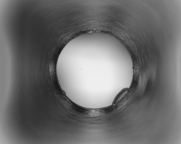 X0000094930623200711291002
