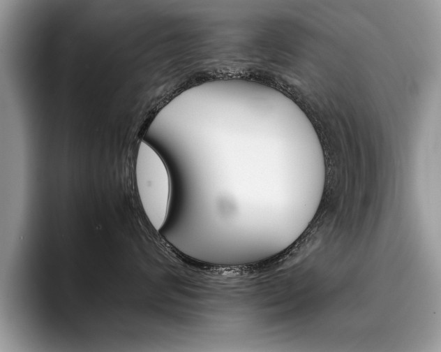 X0000094930624200711291002