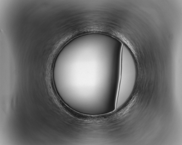 X0000094930625200711291001