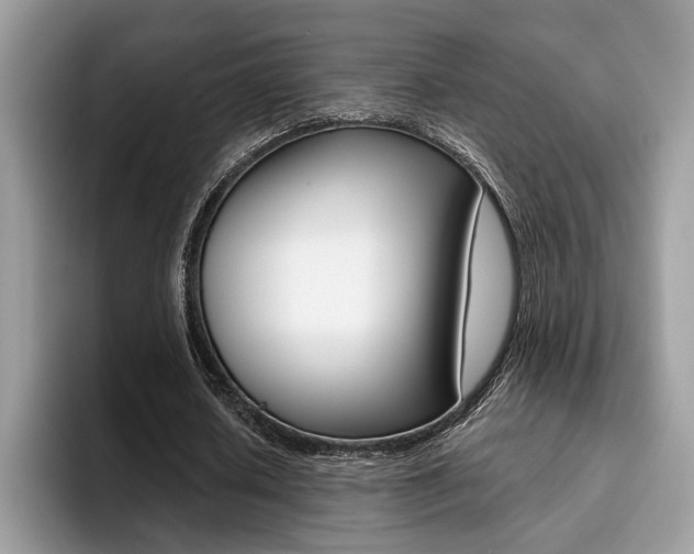 X0000094930626200711291001