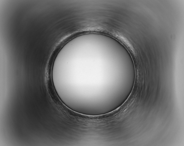 X0000094930628200711291002