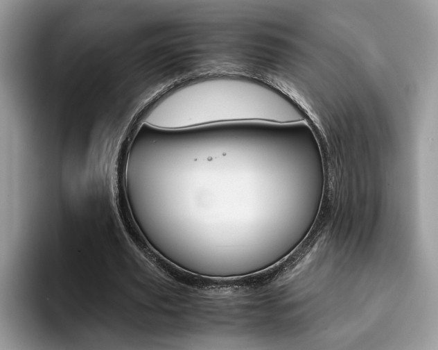 X0000094930629200711291002