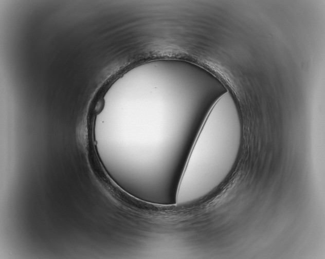 X0000094930630200711291002