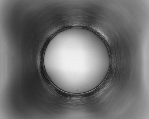 X0000094930631200711291002