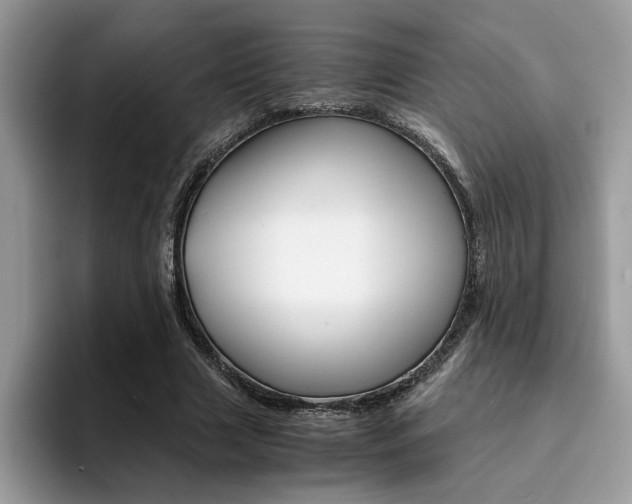 X0000094930633200711291002