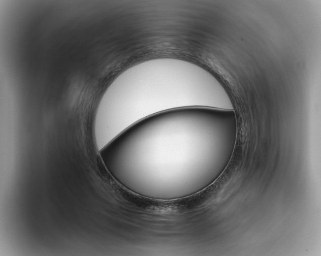 X0000094930639200711291002