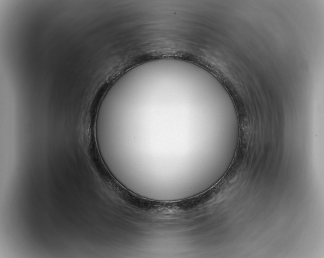 X0000094930642200711291002